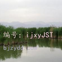 ĩ